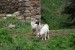 Image 23